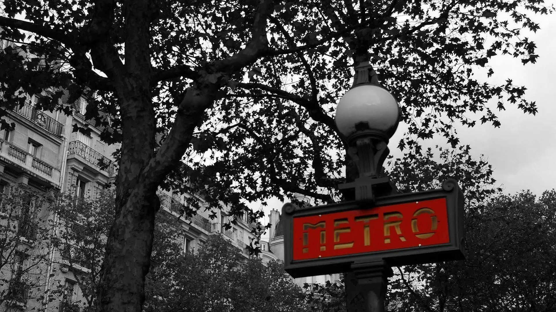 Wallace - Orso Paris